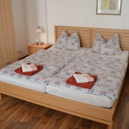 Simplistic In Near Forest